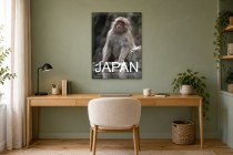 Jigokudani Monkey Park